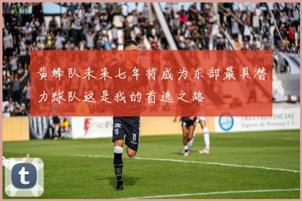 黄蜂队未来七年将成为东部最具潜力球队这是我的首选之路