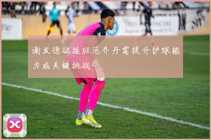 谢泼德欲接班范乔丹需提升护球能力成关键挑战